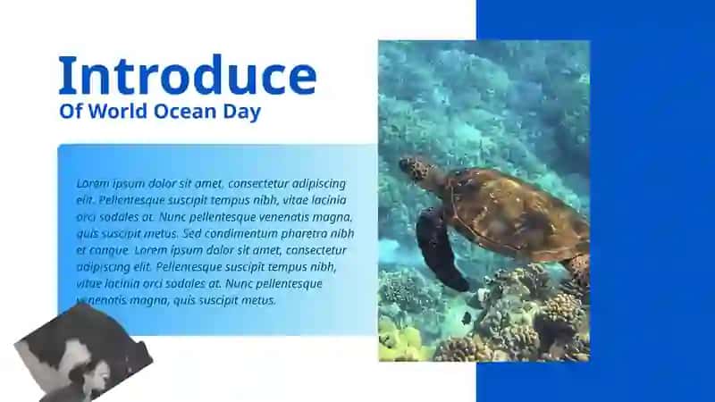 World Ocean Day 3