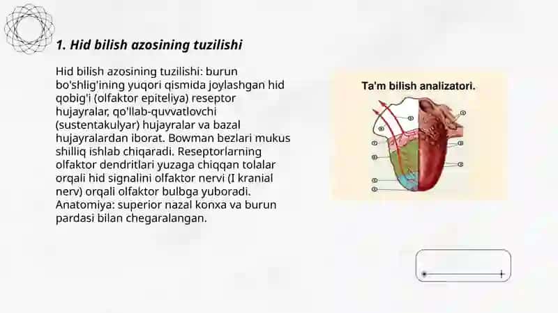Hid bilish azosi 3