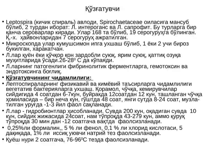 Лептоспироз ва унга қарши кураш тадбирлари 3
