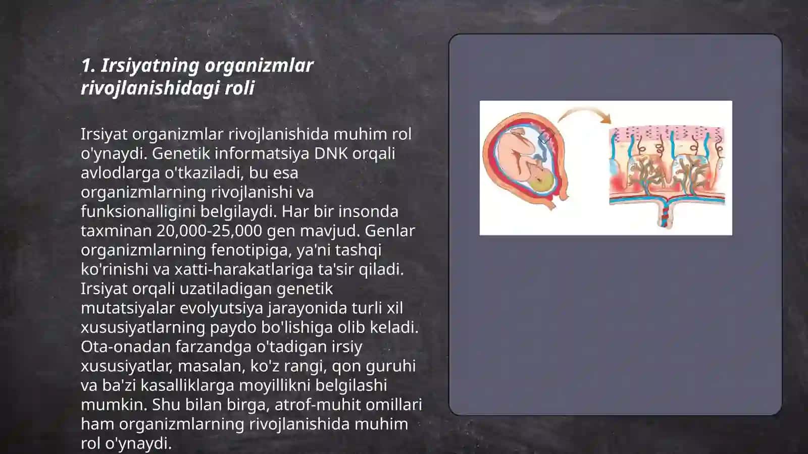 Organizm rivojlanishiga irsiyat va muhitning ta’siri 3