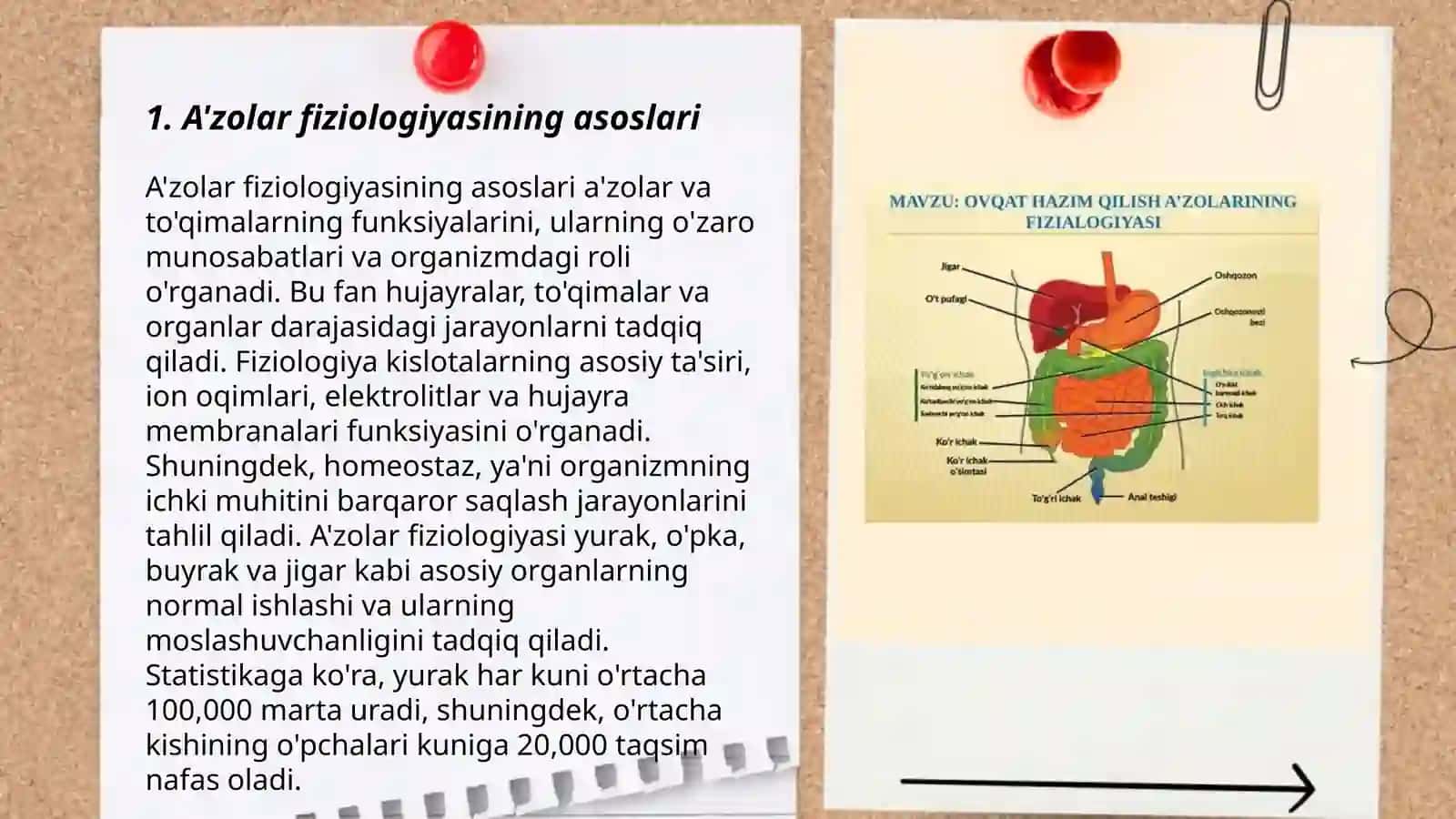 A'zolar fiziologiyasining asoslari 3