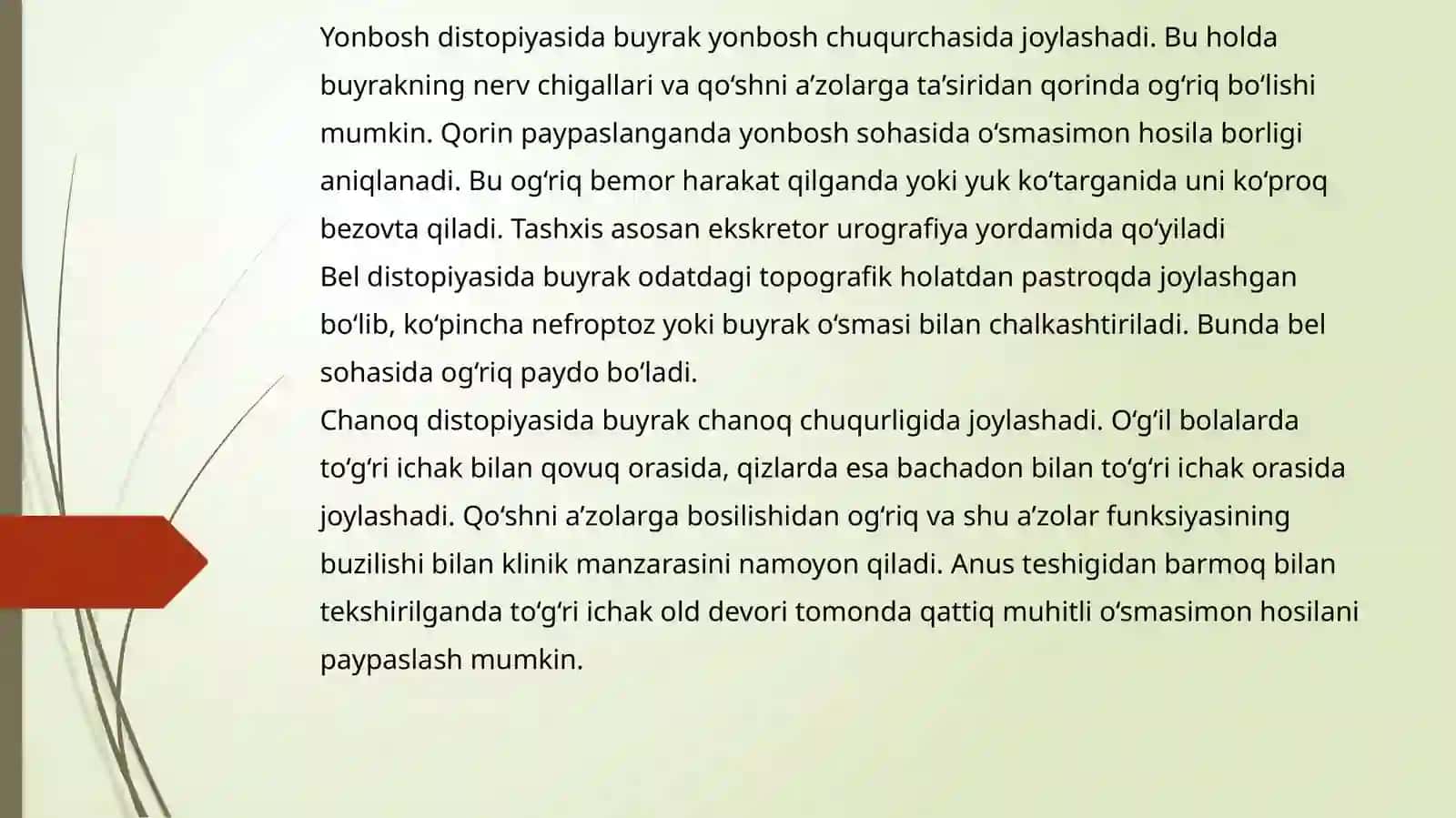 BUYRAKLARNING TUG’MA VA ORTTIRILGAN DISTOPIYASI,TAQASIMON BUYRAK VA ULARNI OPERATIV DAVOLASH USLUBLARI 3