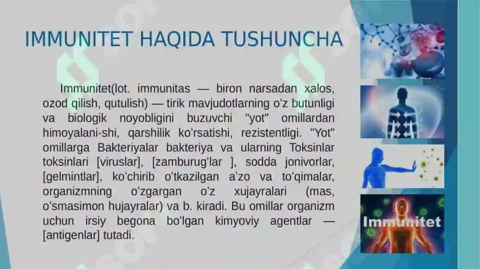 Immun tizimining organlari haqida umumiy tushuncha 3