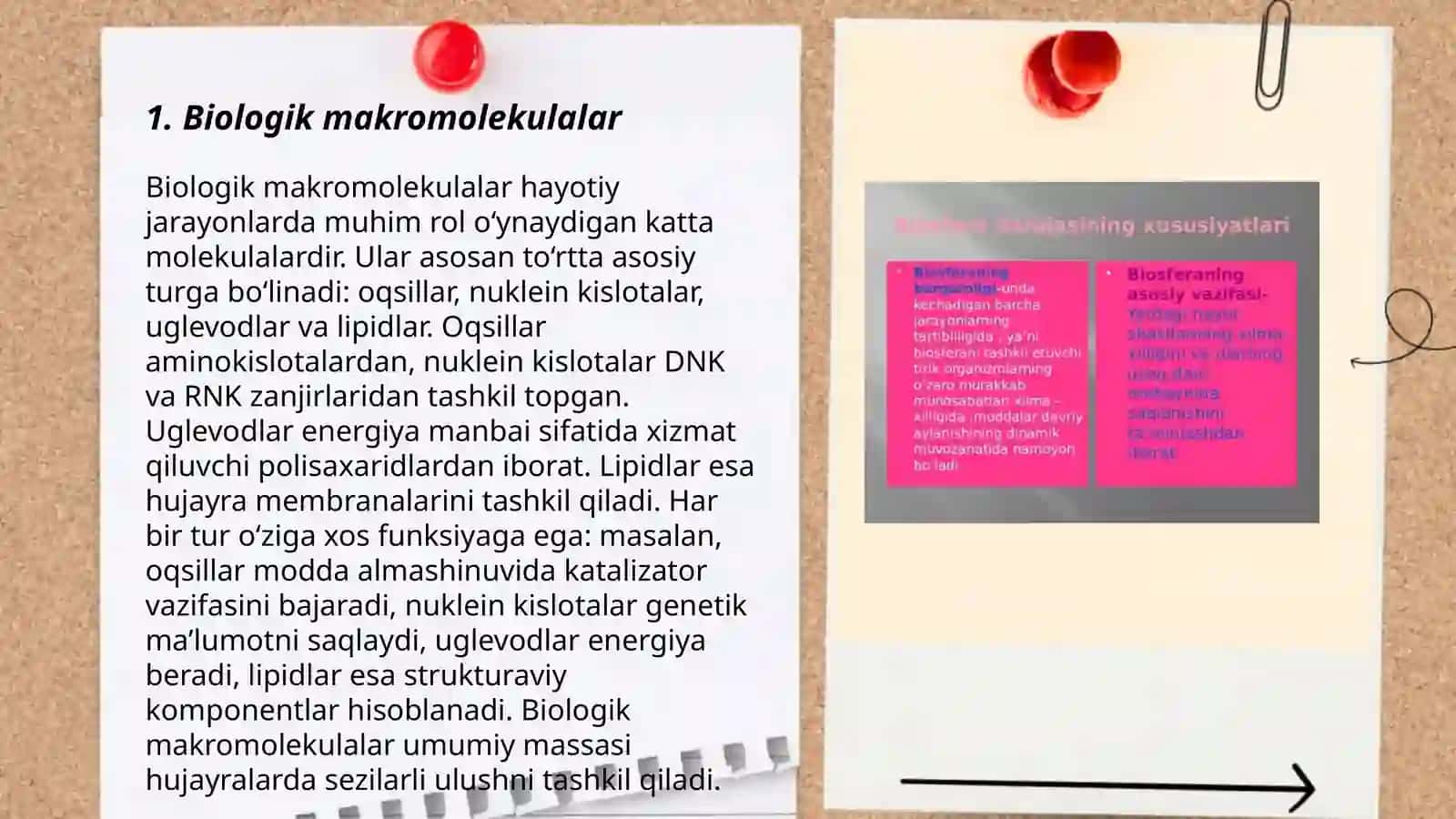 Biomaromlar. Tirik organizmlarning hayotiy shakllari. Vaqt ekologik omil 3
