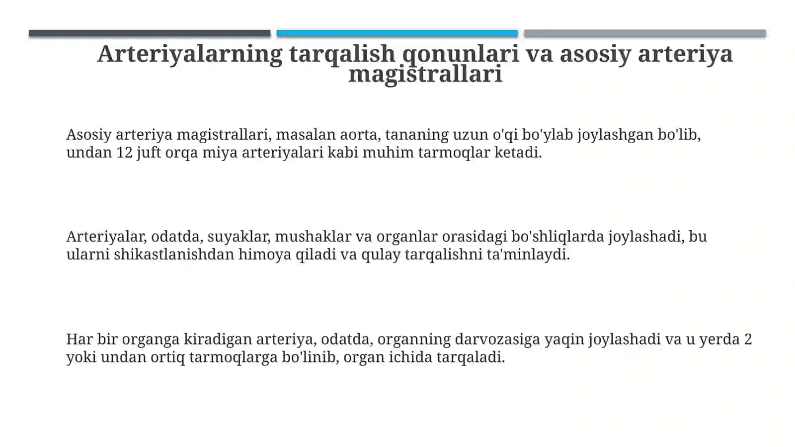 Arteriyalarning tarqalish qonuniyatlari 3