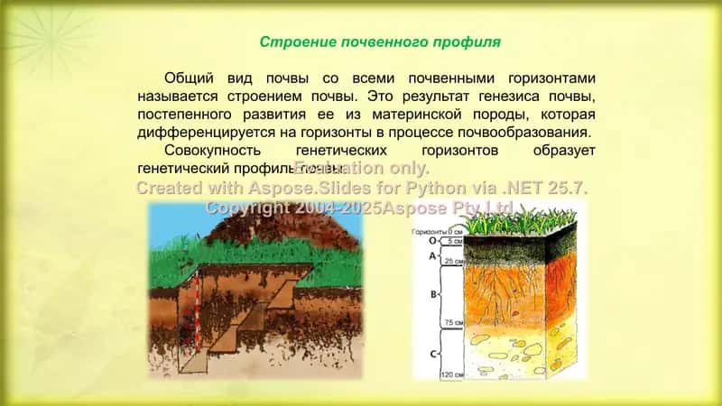 Различия в основных почвах, распределенных по континентам 3