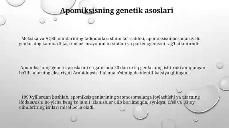 Apomiksiz klassifikatsiyasi 3