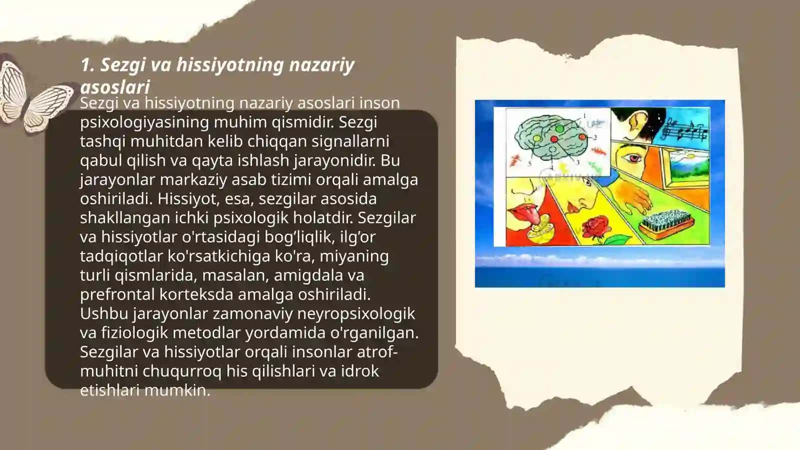Sezgi va hissiyotning nazariy asoslari 3