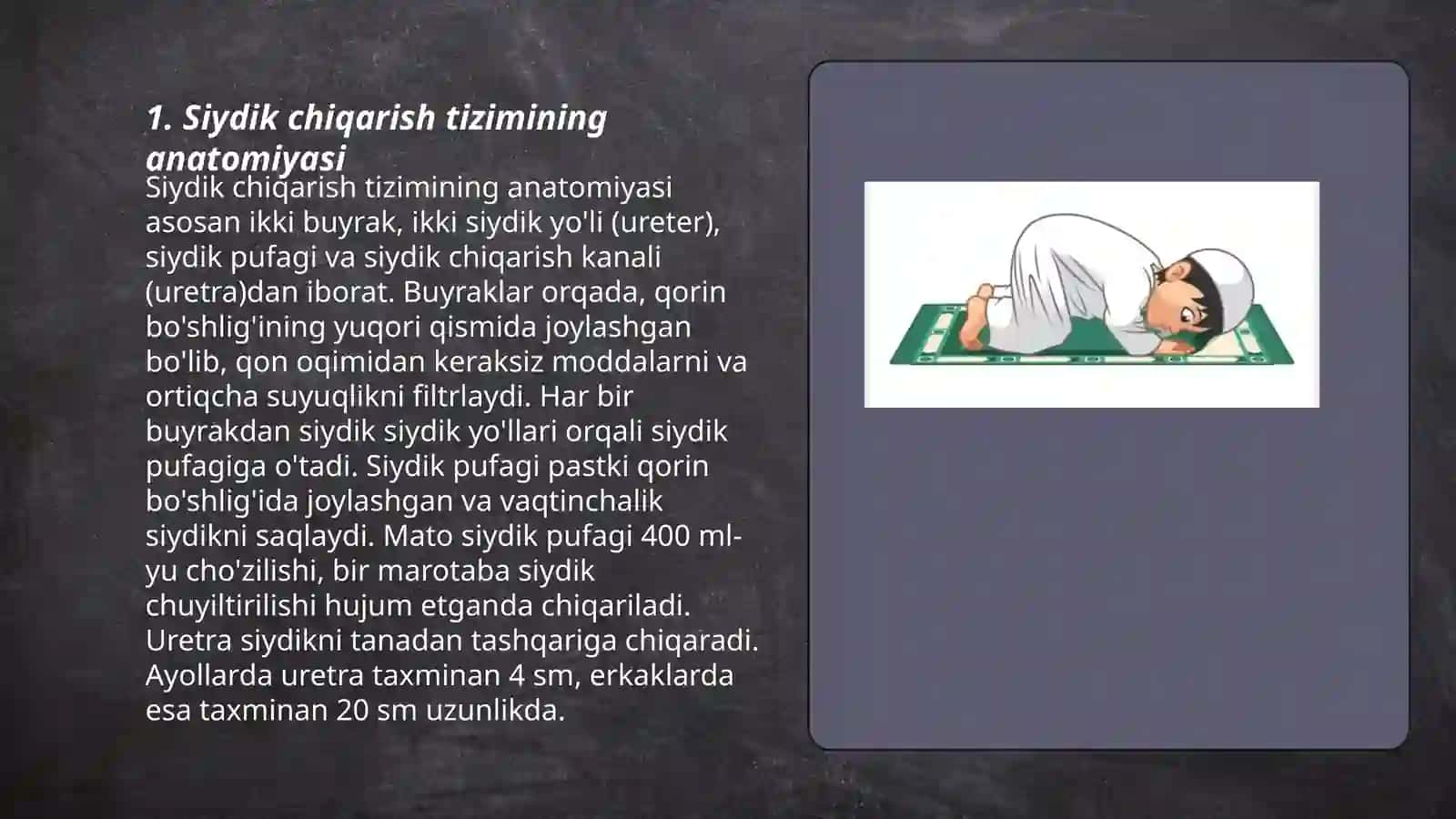 Siydikni tutib tura olmaslik. Qovuqning neyrogen disfunksiyasi 3
