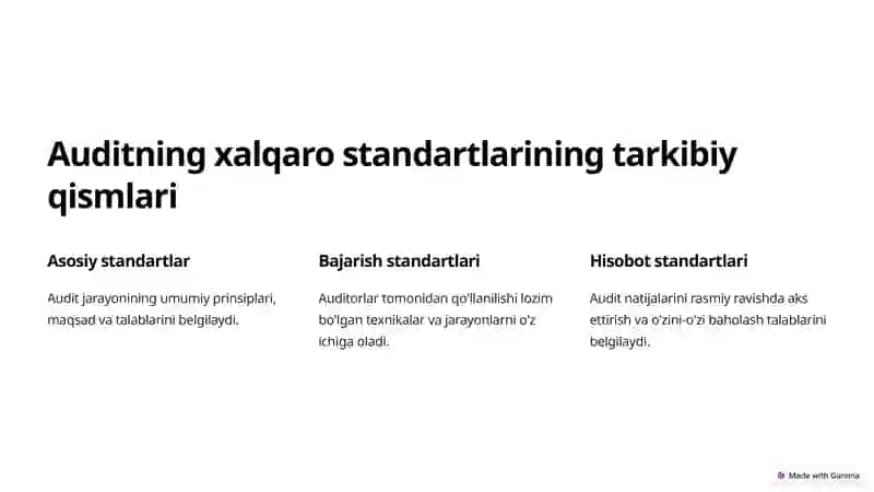 Auditning xalqaro standartlarining paydo bo'lishi va rivojlanishi 3