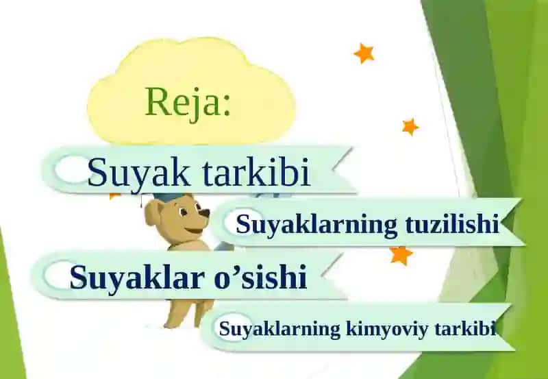 SUYAK ILIGI RIVOJLANISHI  TUZILISHI VAZIFASI  QIZIL ILIK SARIQ ILIK 3