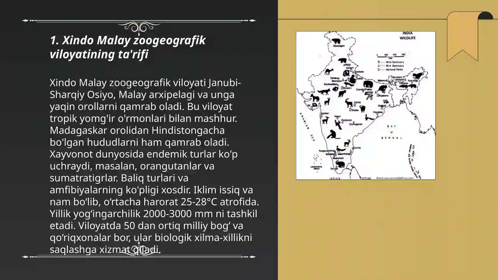 Xindo malay zoogeografik viloyat 3
