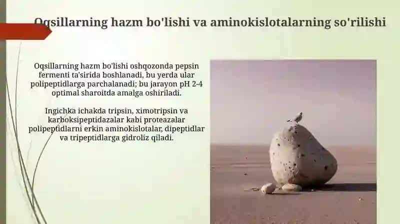 Odam organizmida oqsilarning biokimyoviy ozgarishi 3