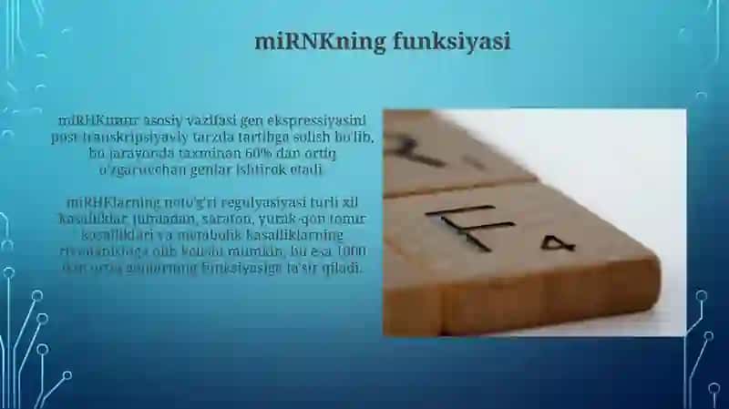 Formulalarning normal shakillari. DNSh,MKNSh, MDNSh, KNSh 3