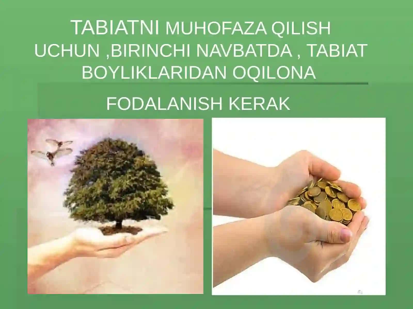 TABIATNI ASRASH HAR BIRIMIZNING BURCHIMIZDIR 3