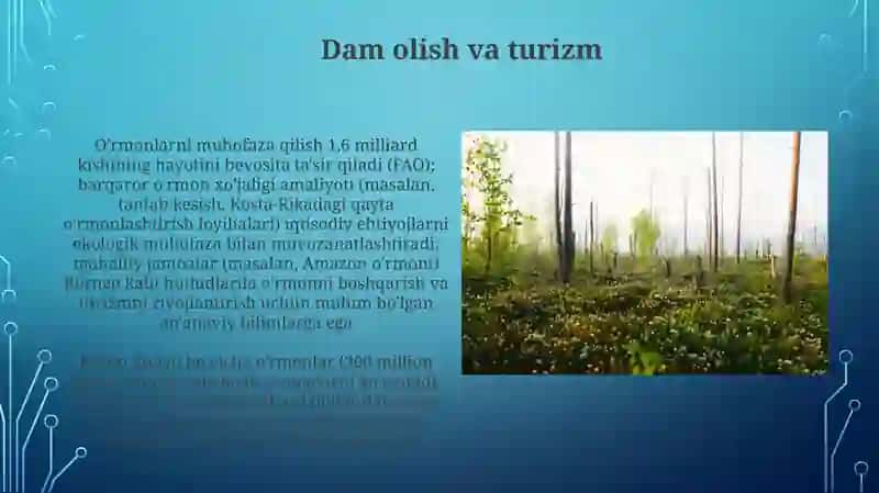 O'rmonning ijtimoiyahamiyati 3