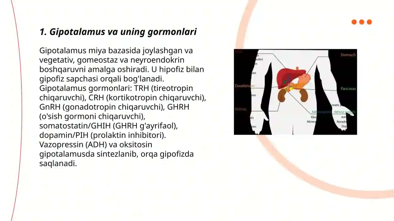 Ichki sekretsiya bezlari va ularning gormonlari 3