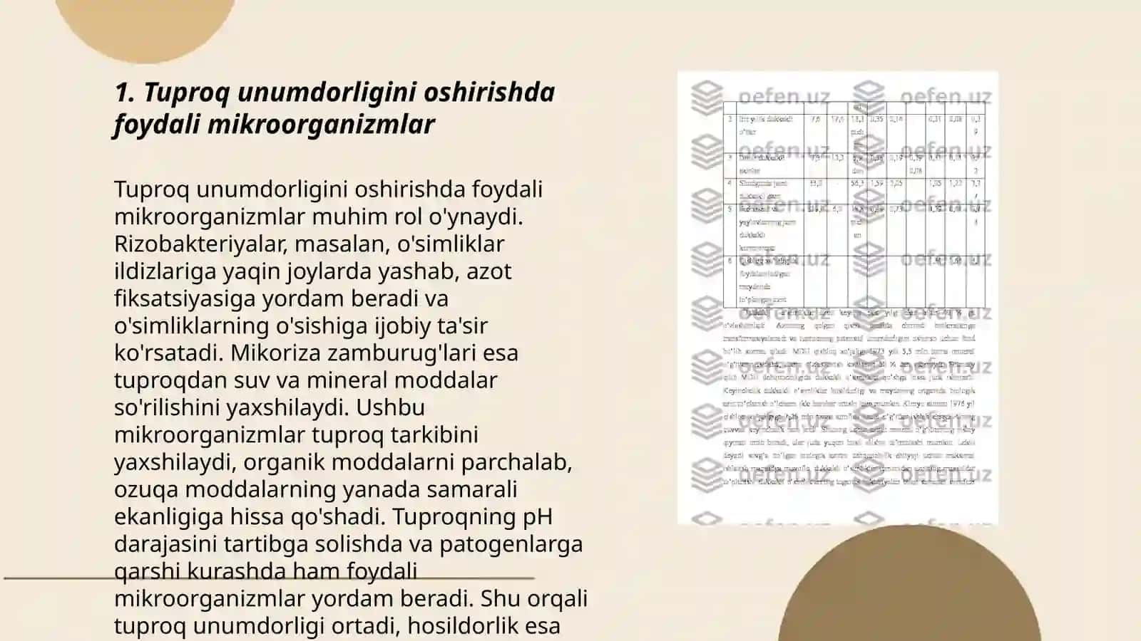 Tuproq unumdorligi oshirishda mikroorganizmlardan foydalanish 3