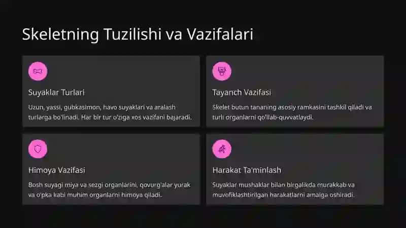 Skelet Mushaklarining Umumiy Tuzilishi 3