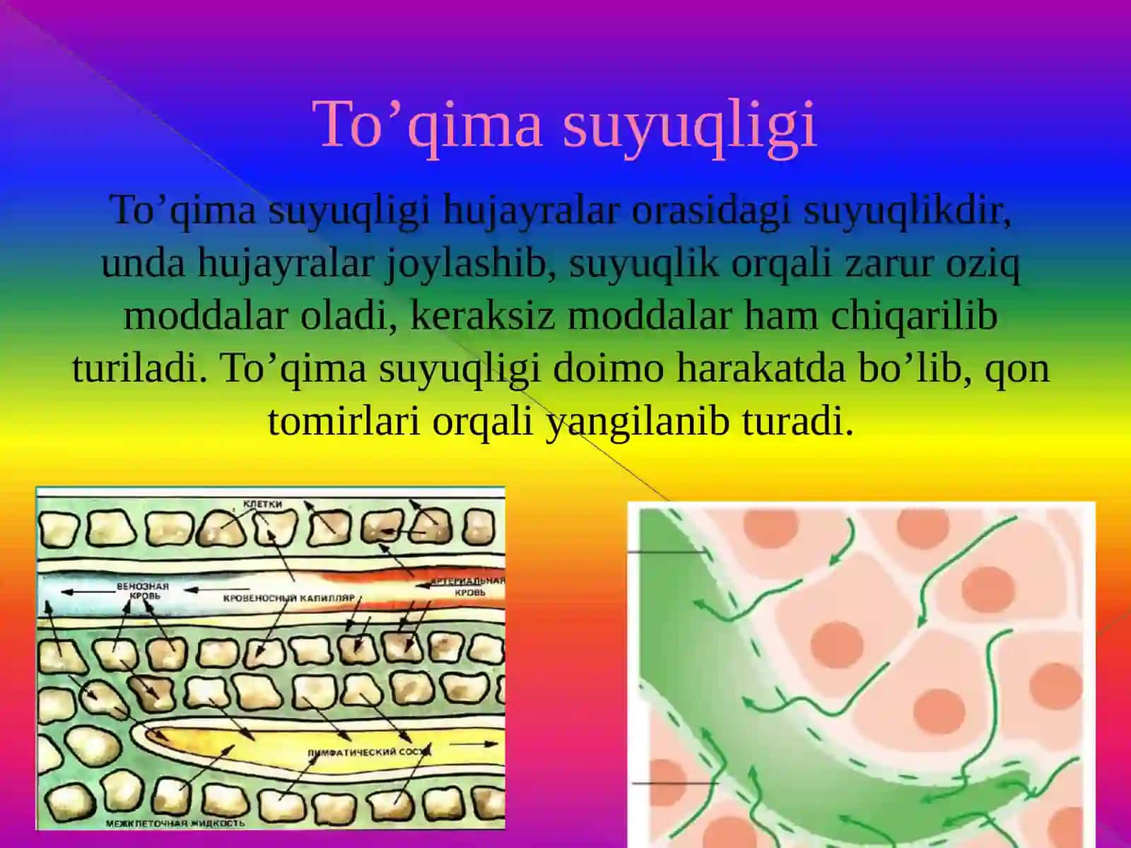 Qon va uning vazifalari 3