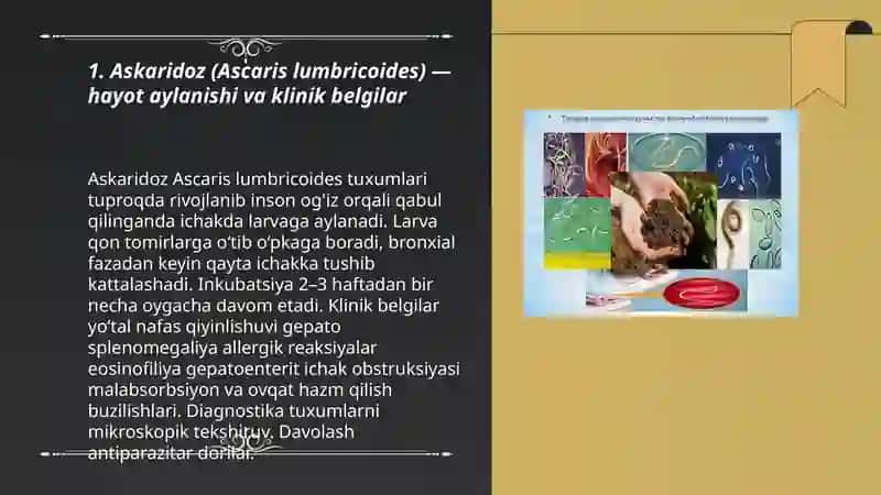 Gelmintlar -odam parazitlari 3