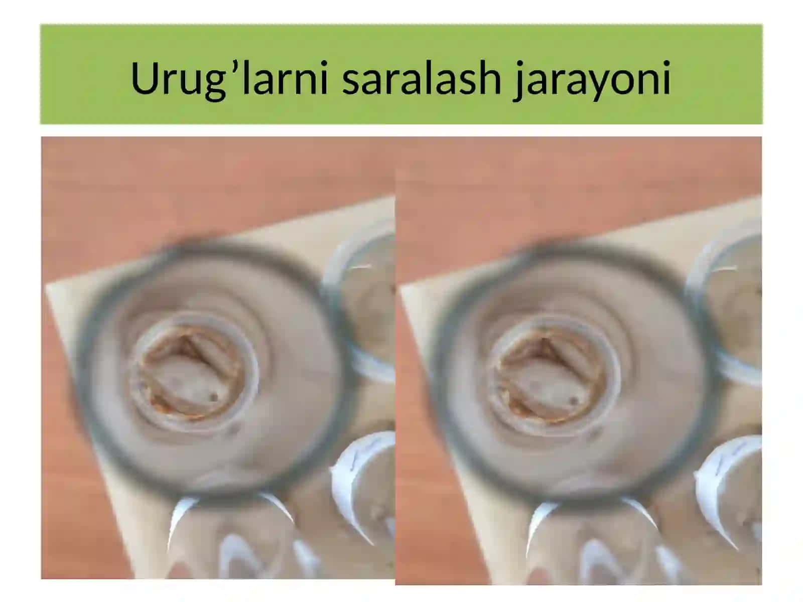 Biotexnalogiya yo’nalishi 3