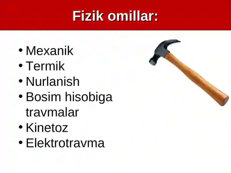 MLC Pathology 3