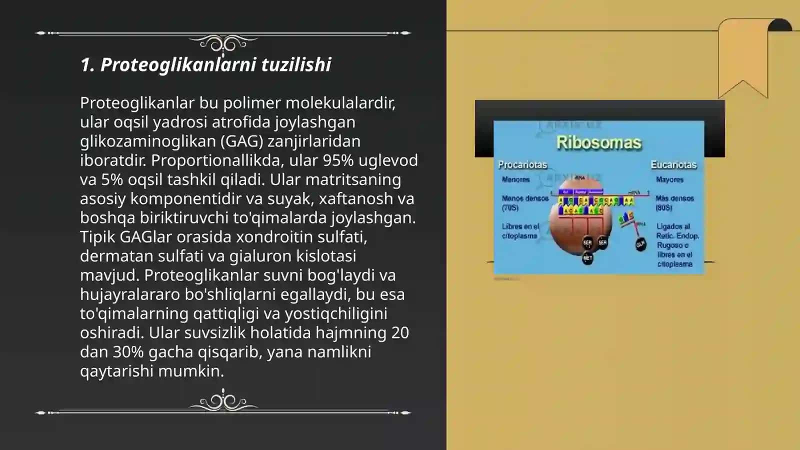 Proteoglikanlar glikoproteinlar va glikolipidlar tuzilishi funksiyasi 3