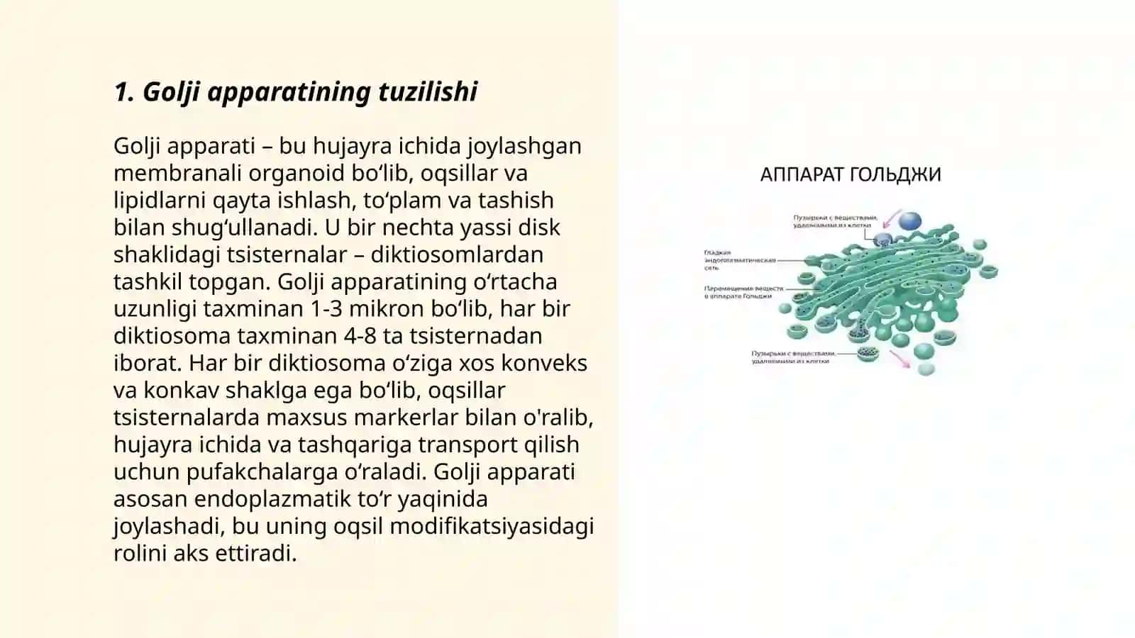 Golji apparati 3