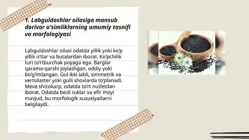 Labguldoshlar ranoguldoshlar oilasiga mansub dorivor oʻsimliklar 3
