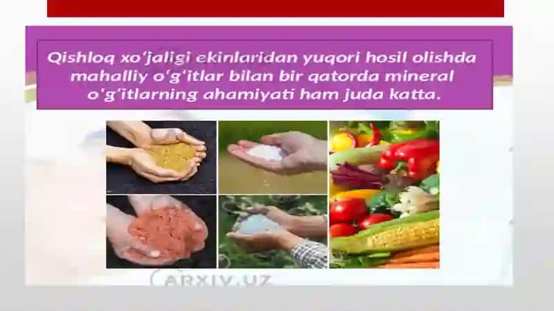 Mineralo’g’itlarning qishloq xo’jaligidagi ahamiyati 3