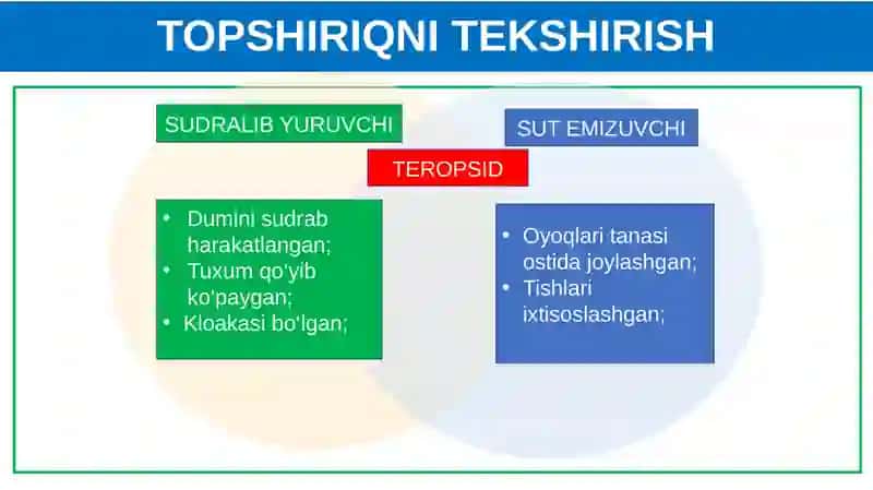 DARS REJASI 3