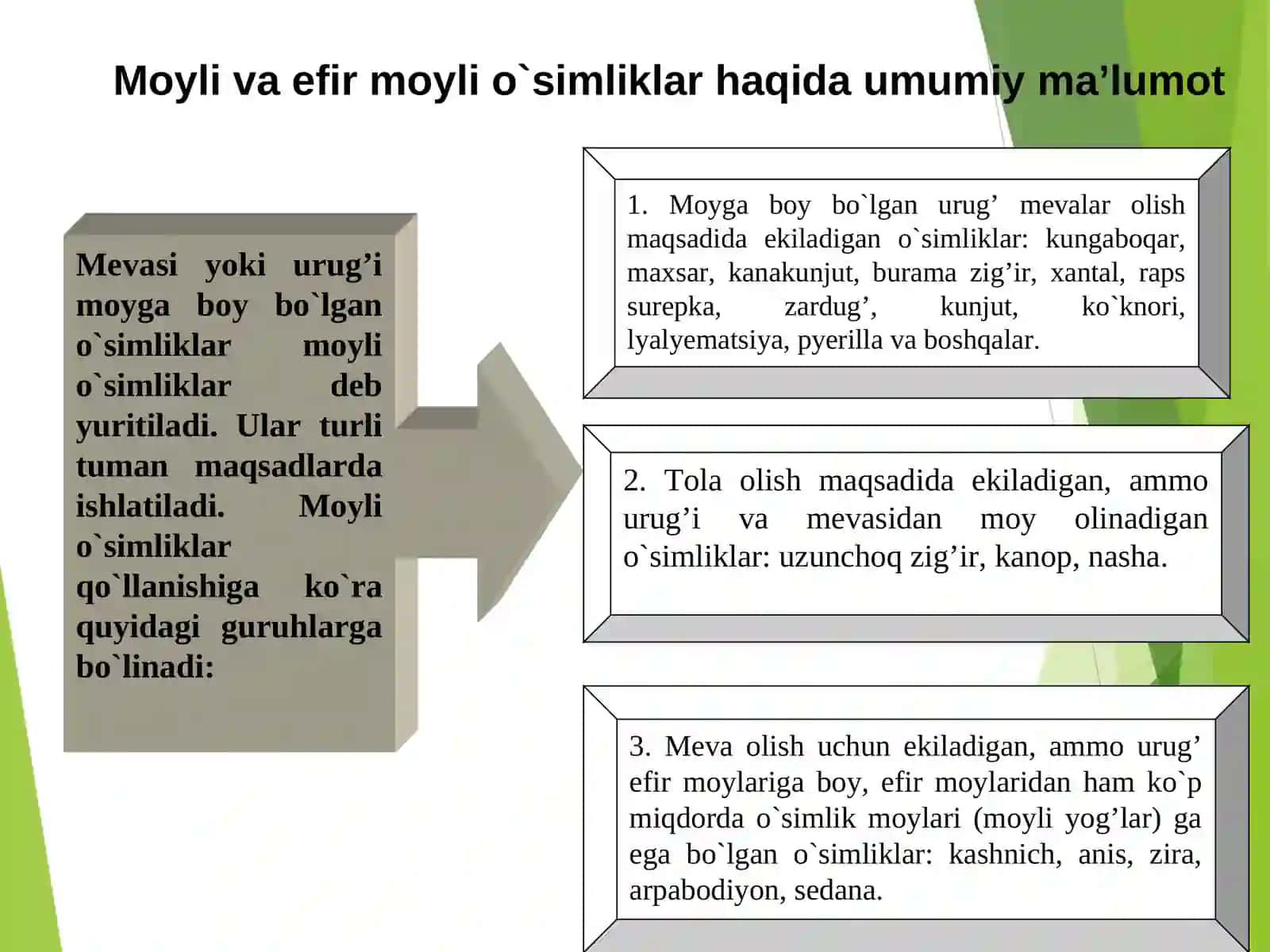 MOYLI VA EFIR MOYLI O’SIMLIKLARNING AHAMIYATI,ISHLATILISHI VA AHAMIYATI 3