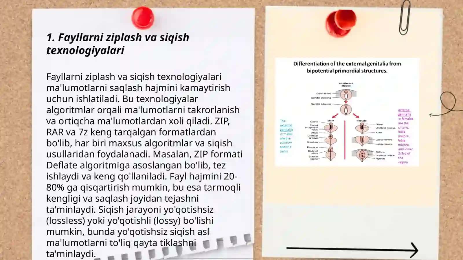 Fayllarni ziplash va siqish texnologiyalari 3