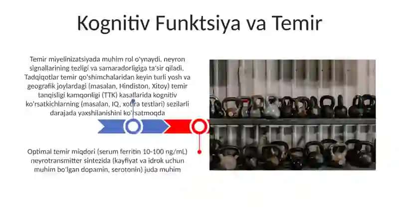 Temirning muhim vazifalari 3