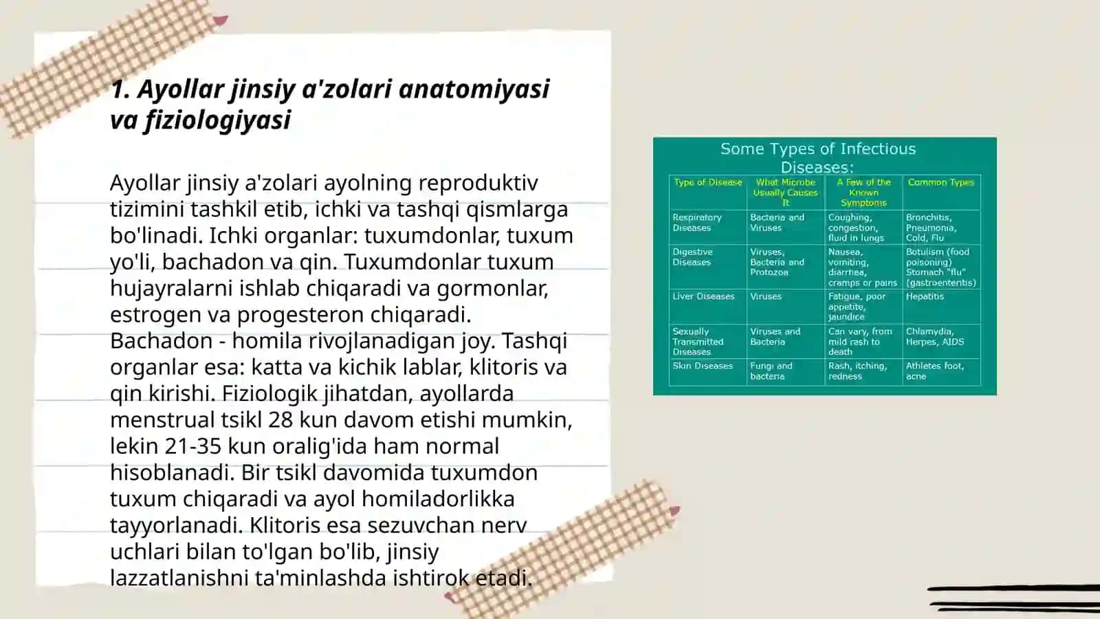 Ayollar jinsiy a'zolari anatomiyasi va fiziologiyasi 3