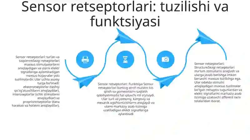 Sezgilarning Nerv-Fiziologik Asoslari 3