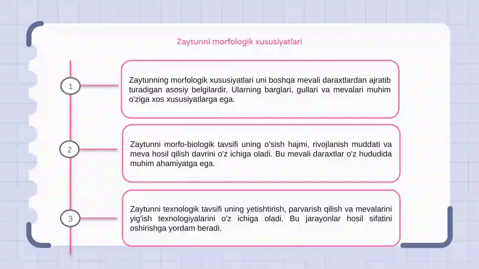 Zaytunni morfo-biologik va texnologik tavsifi 3