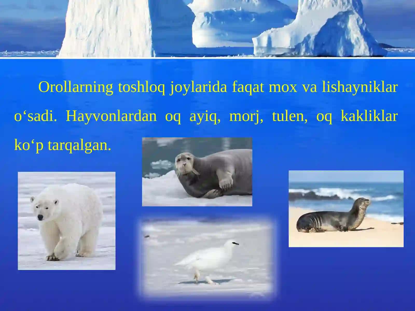 Sovuq va mo‘tadil iqlim mintaqalaridagi tabiat zonalari 3