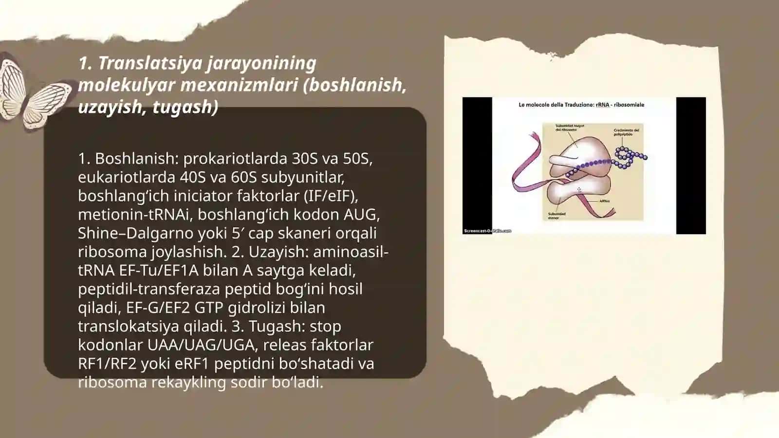 Translatsiya va genlar almashinuvining boshqarilishi 3