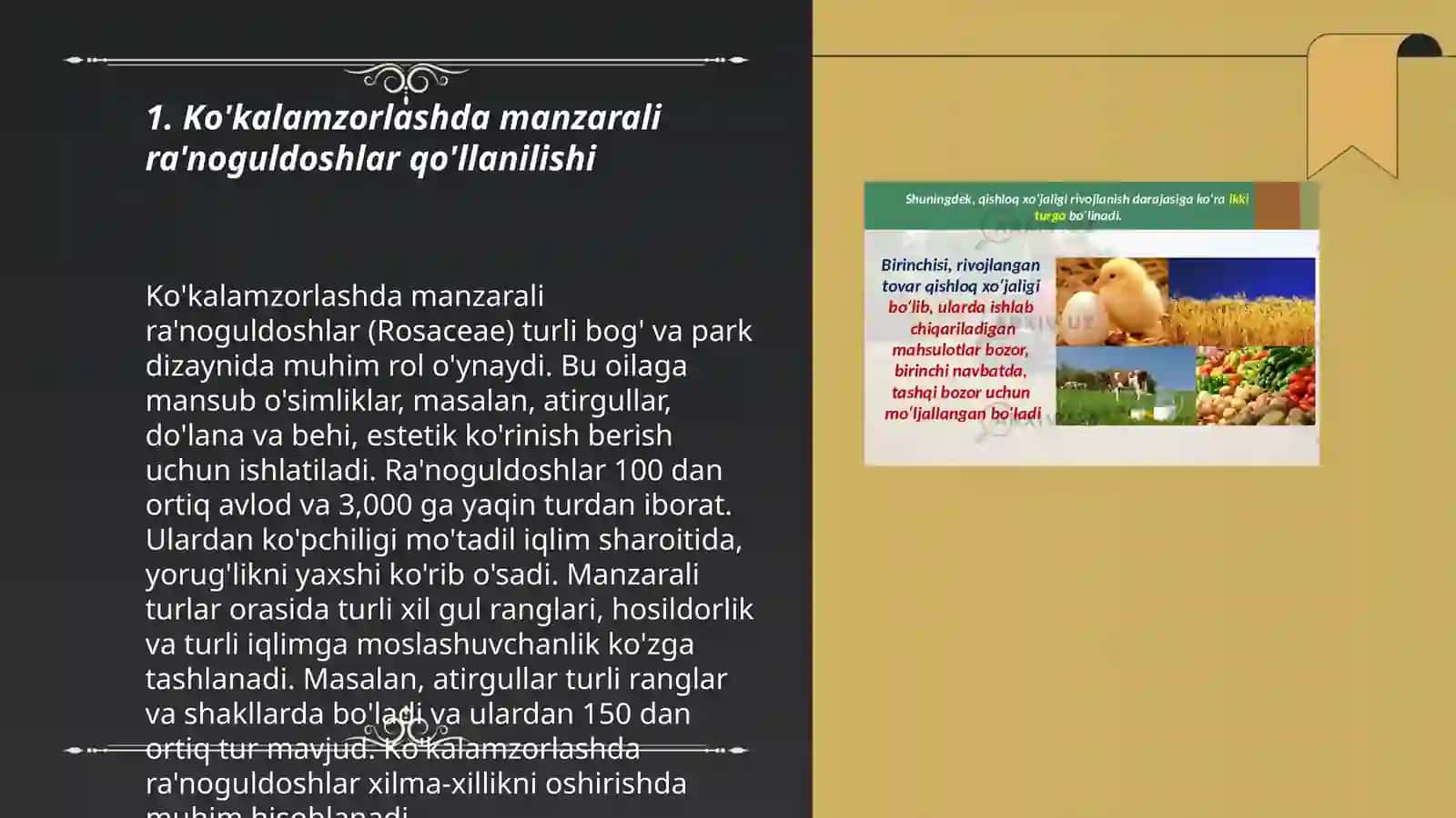 Ko'kalamzorlashda manzarali ra'noguldoshlar 3