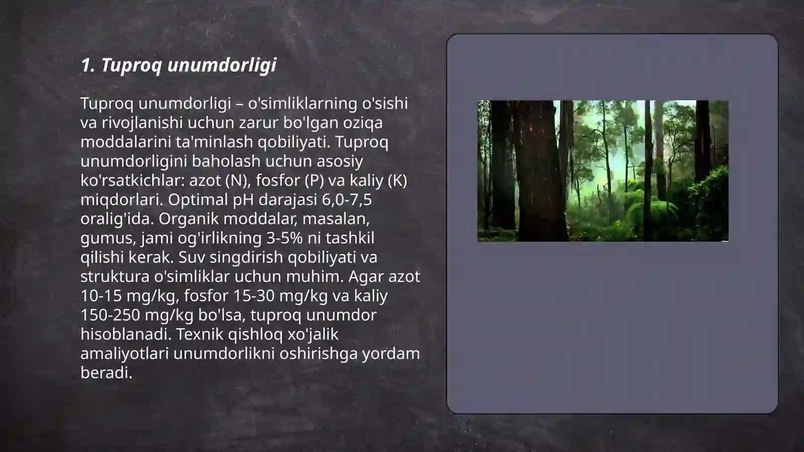 Ekvatorial o'rmonlar tabiat zonasi tuproqlari 3