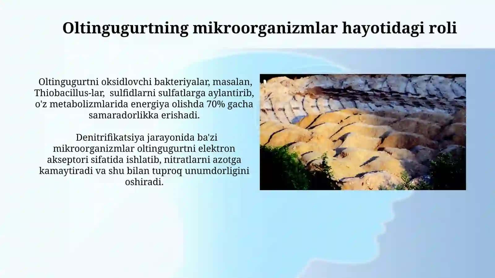 Suvning tabiatda tarqalishi.Uning tirik organizmlar uchun ahamiyati,ishlatilishi 3