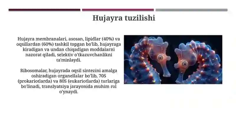 Hujayra Tuzilishi va Hujayra Nazariyasi 3