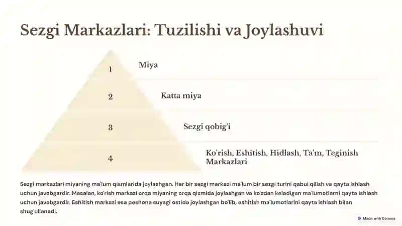 ASAB MARKAZLARINING O’ZIGA XOSLIGI 3