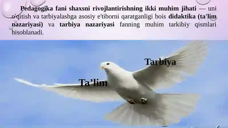 Pedagogika Shaxs Tarbiyasi va Rivojlanishi To‘g‘risidagi Fan 3