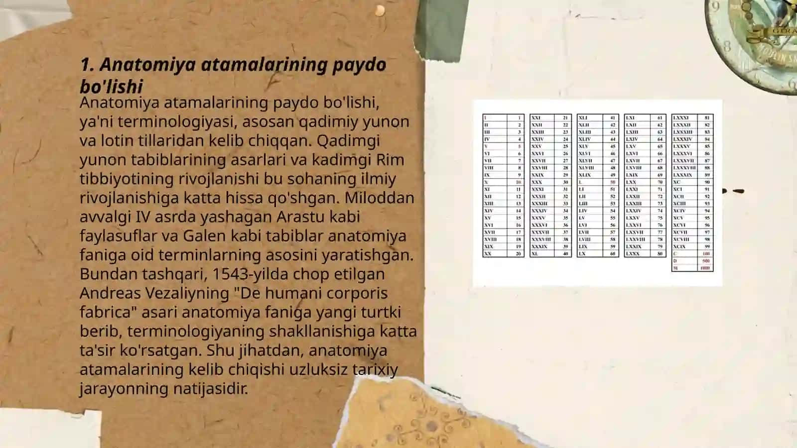 Lotin tilining anatomiyadagi terminlarda o'rni 3