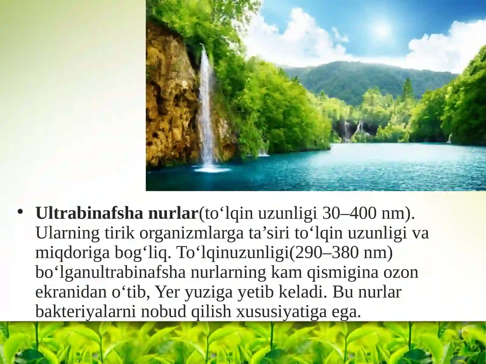 Fotosintez jarayoni va quyosh energiyasi 3