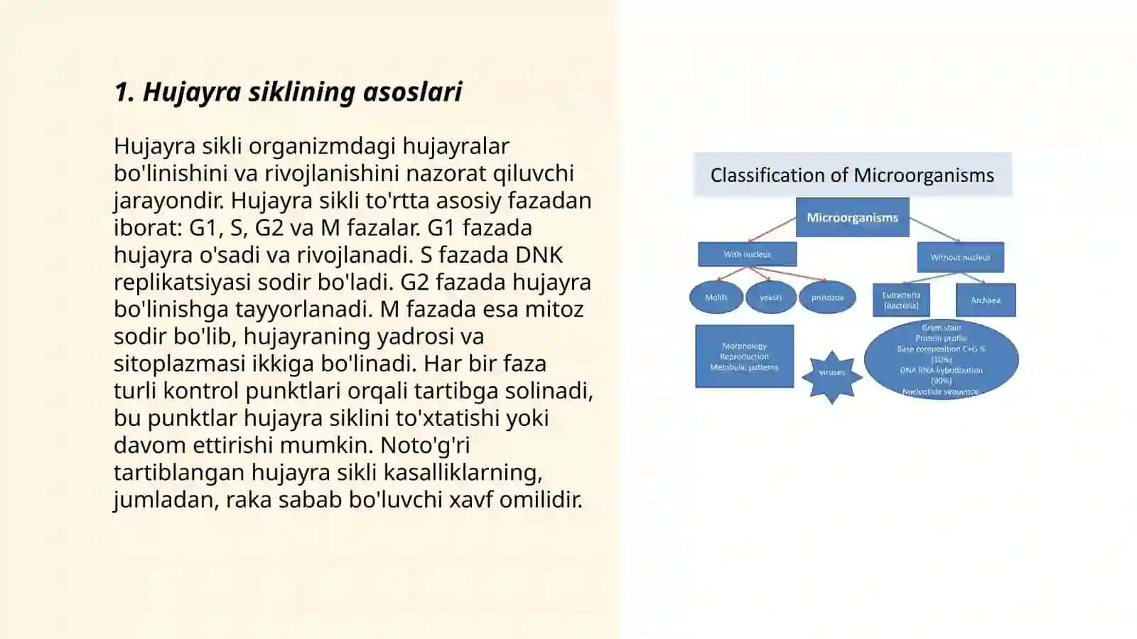 Hujayra sikli va uning mohiyati mikroorganizmlar genetikasi 3