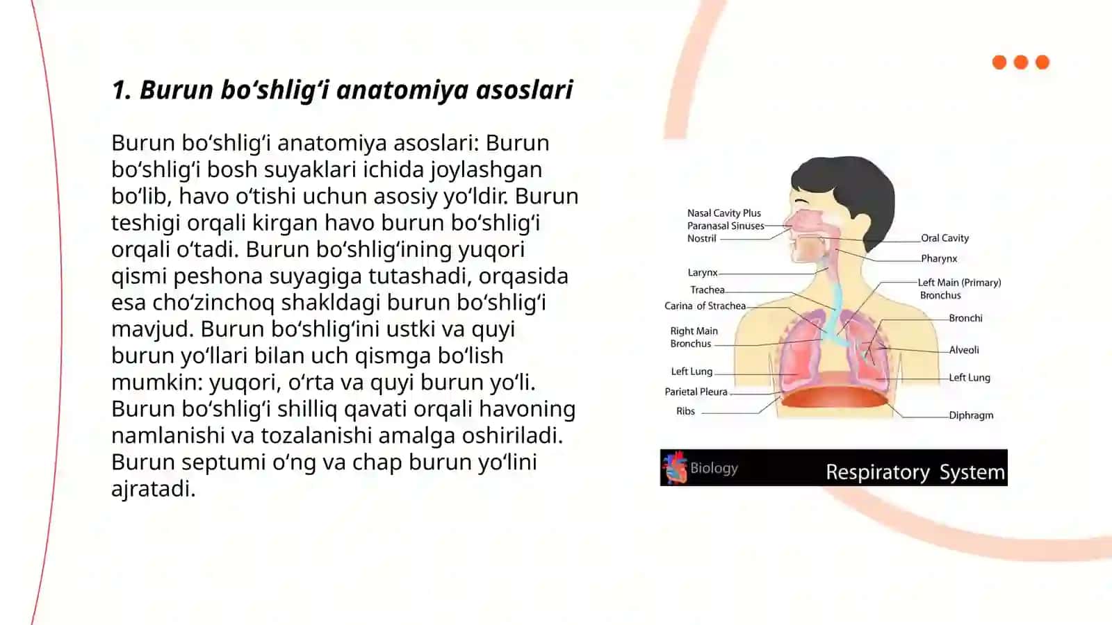 Burun boʻshligʻi anatomiyasi 3